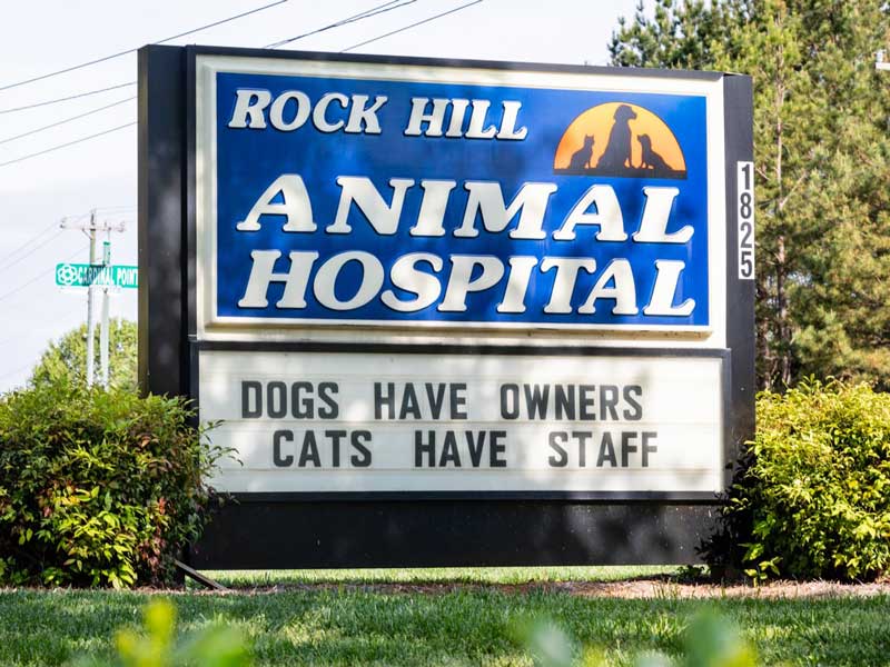 Rock Hill Pet Hospital